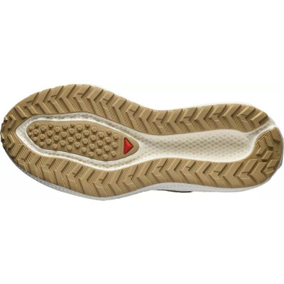 Running Shoes for Adults Salomon Aero Glide 3 Grvl Brown