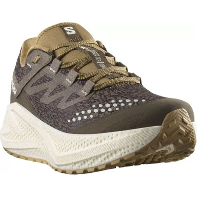 Running Shoes for Adults Salomon Aero Glide 3 Grvl Brown