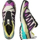 Men's trail running shoes (mountain running) Salomon Xa Pro 3D V9 Gtx Light brown