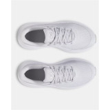 Running Shoes for Adults Under Armour Ggs Rogue 5 Grey