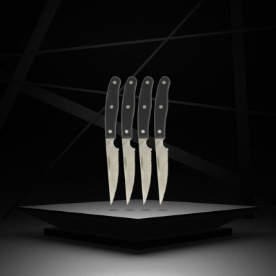 Knife Set Nirosta Stainless steel 4 Pieces