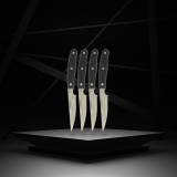 Knife Set Nirosta Stainless steel 4 Pieces