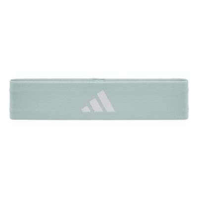 Sports Strip for the Head Adidas Resistance Aquamarine