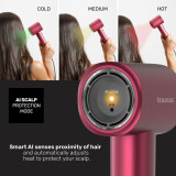 Hairdryer Taurus Maroon 2400 W