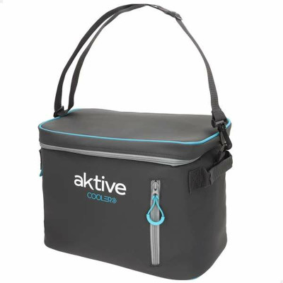 Portable Fridge Aktive 18 L 34 x 21 x 26 cm
