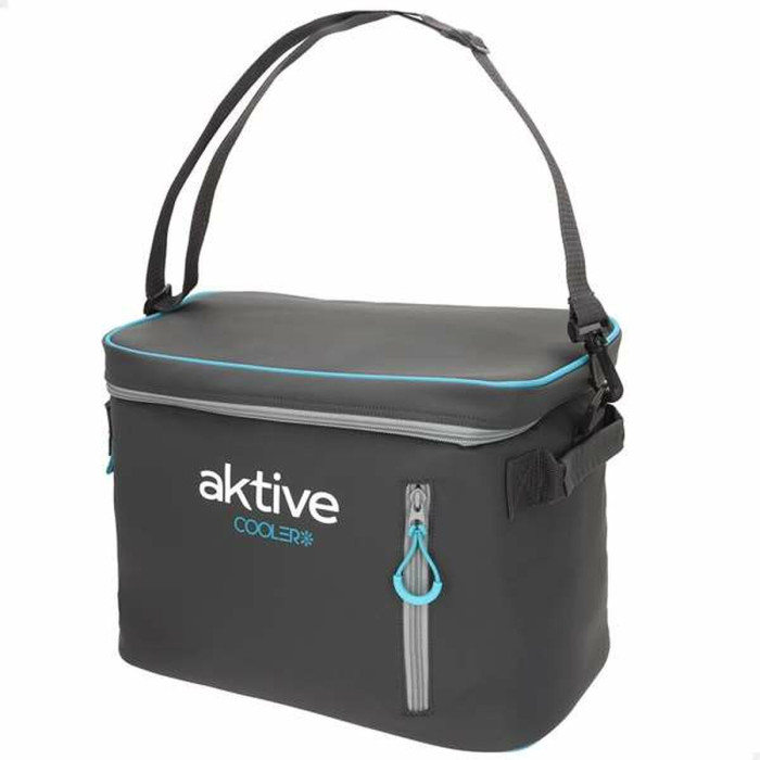 Portable Fridge Aktive 18 L 34 x 21 x 26 cm