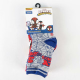 Socks Spidey Blue 23-26 5 pairs