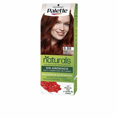 Permanent Dye Palette Natural Schwarzkopf