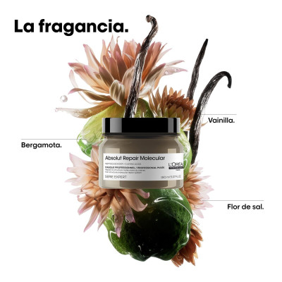 Hair Mask L'Oreal Professionnel Paris ABSOLUT REPAIR MOLECULAR