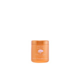 Restorative Hair Mask Farmavita