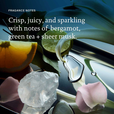 Shampoo Living Proof NO FRIZZ 236 ml