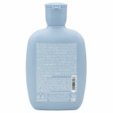 Shampoo Alfaparf Milano SEMI DI LINO DENSITY 250 ml