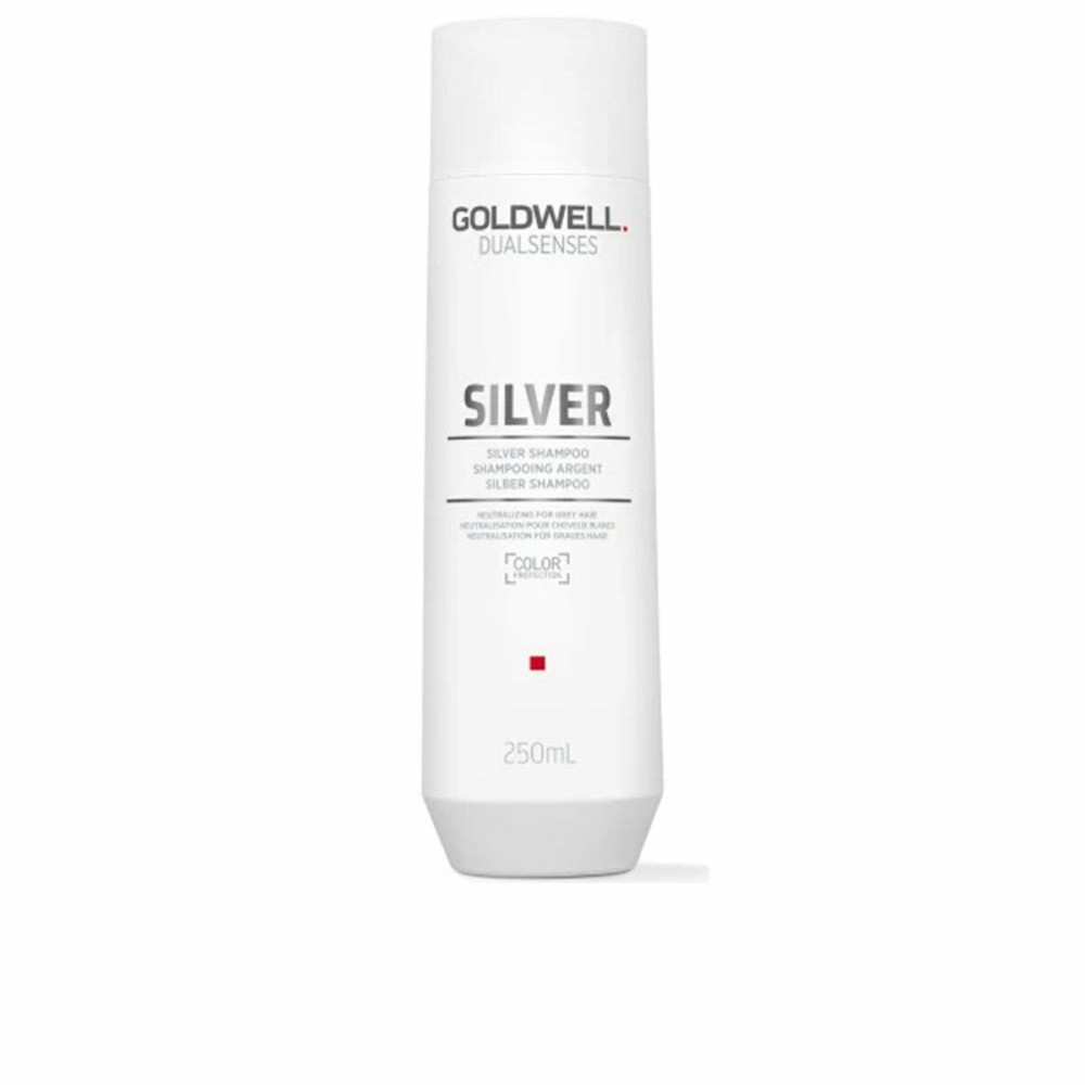 Shampoo for Blonde or Graying Hair Goldwell Silver 250 ml