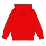 Men’s Hoodie Champion