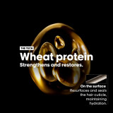 Day Cream L'Oreal Professionnel Paris ABSOLUT REPAIR 250 ml