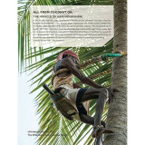 Moisturizing Shampoo Beaver COCONUT OIL & QUINOA 350 ml