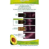 Permanent Dye Garnier Nutrisse Nº 4,26 Nº 4,26-Cassis 1 U (3 Units)