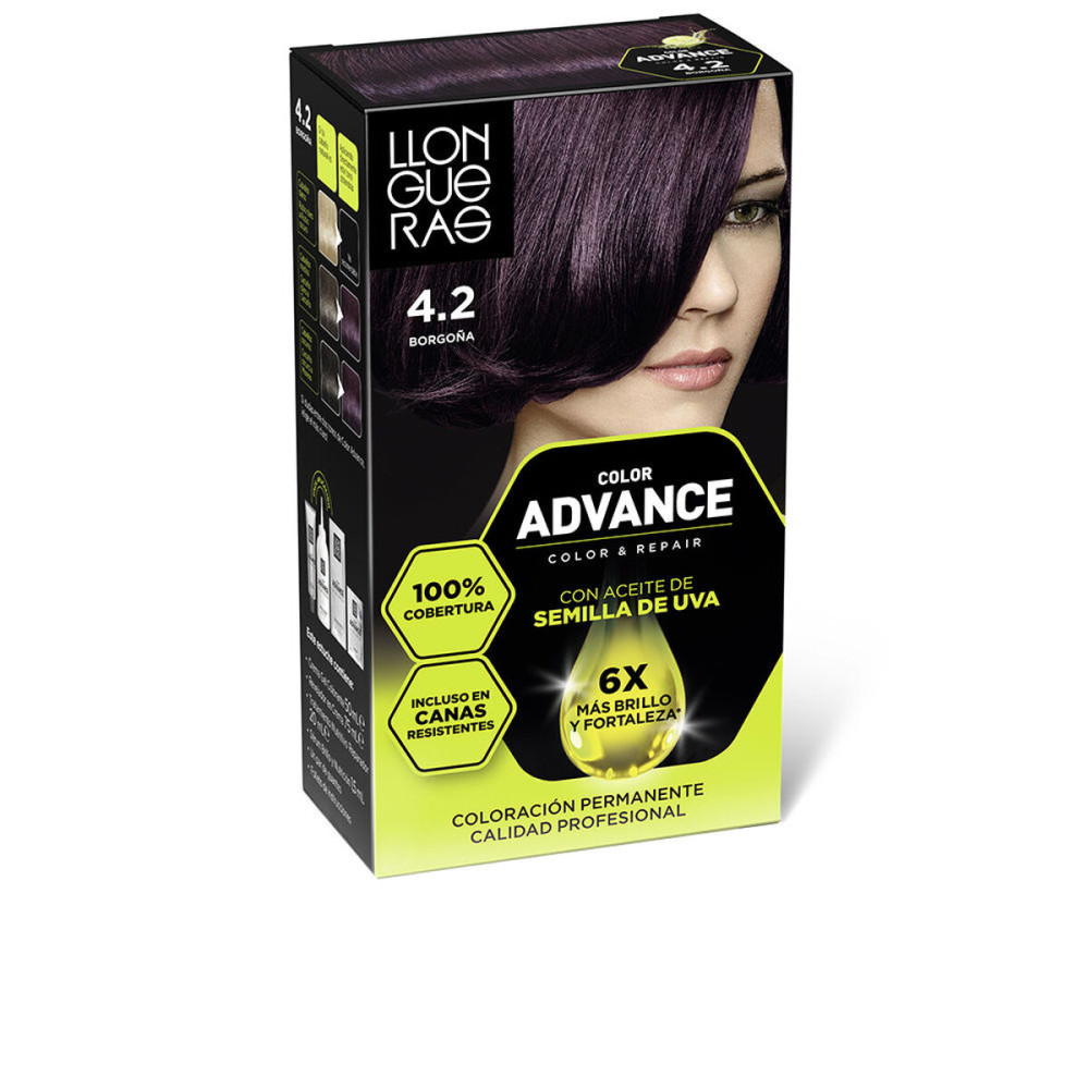 Permanent Colour Llongueras COLOR ADVANCE Nº 4,2-Borgona