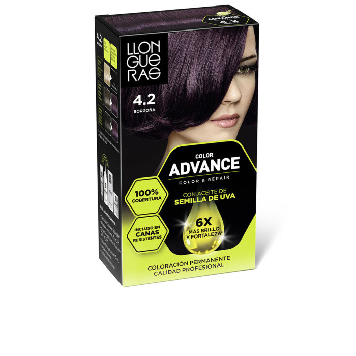 Permanent Colour Llongueras COLOR ADVANCE Nº 4,2-Borgona