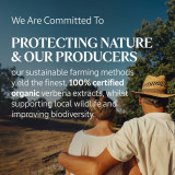 Hand Cream L'Occitane En Provence VERBENA 30 ml