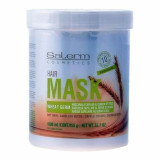 Hair Mask Salerm Wheat Germ 1 L