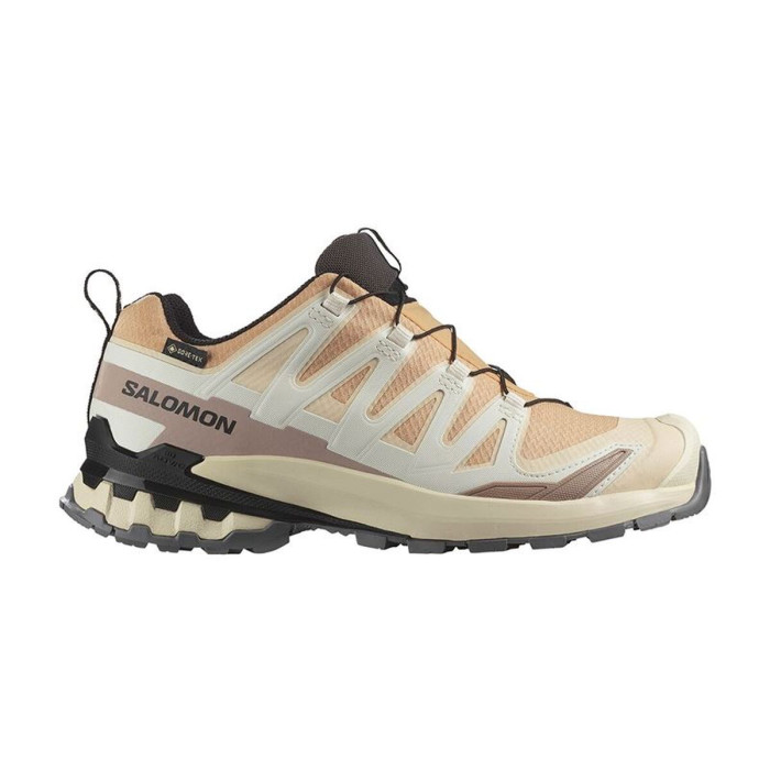 Trail running shoes for women Salomon XA Pro 3 V9 GTX Light brown