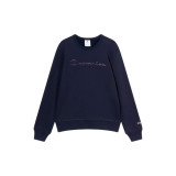 Men’s Sweatshirt without Hood Champion Icons Tonal Navy Blue