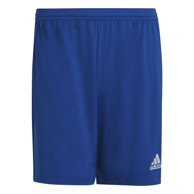 Football Training Trousers for Adults Adidas Ent22 Blue