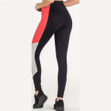 Sport leggings for Women Ditchil Trix Black