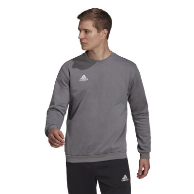 Men’s Sweatshirt without Hood Adidas Ent22 Dark grey