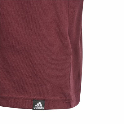 Short Sleeve T-Shirt Adidas Gfx Folded