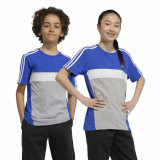 Child's Short Sleeve T-Shirt Adidas 3S Tib Blue
