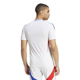 Men's Short-sleeved Football Shirt Adidas Olympique Lyonnais 24/25 Home