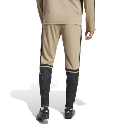 Football Training Trousers for Adults Adidas Squadra25 Tr