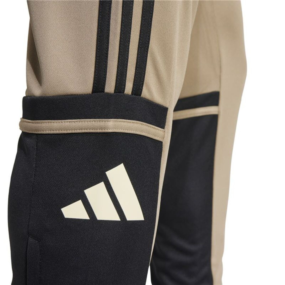 Football Training Trousers for Adults Adidas Squadra25 Tr