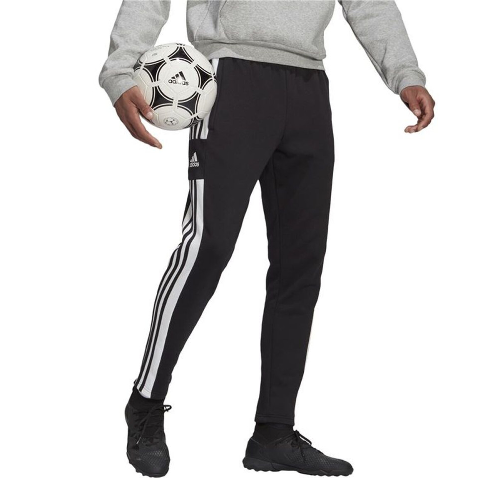 Football Training Trousers for Adults Adidas Sq21 Black Men