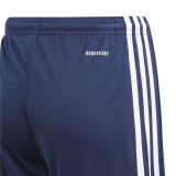Long Sports Trousers Adidas Squad 21 Y Navy Blue