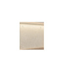 Conventional Hood Aurys White