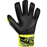 Goalkeeper Gloves Reusch Attrakt Infinity