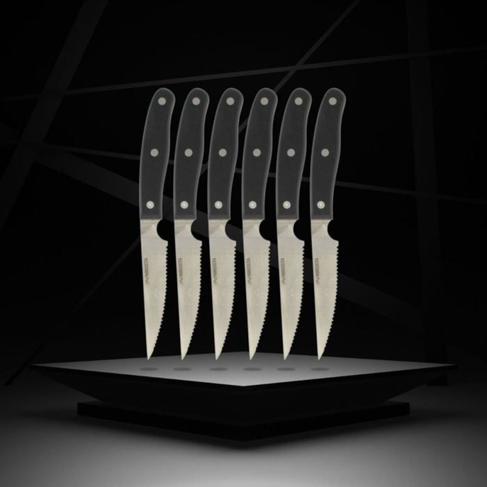Knife Set Nirosta Stainless steel 6 Pieces