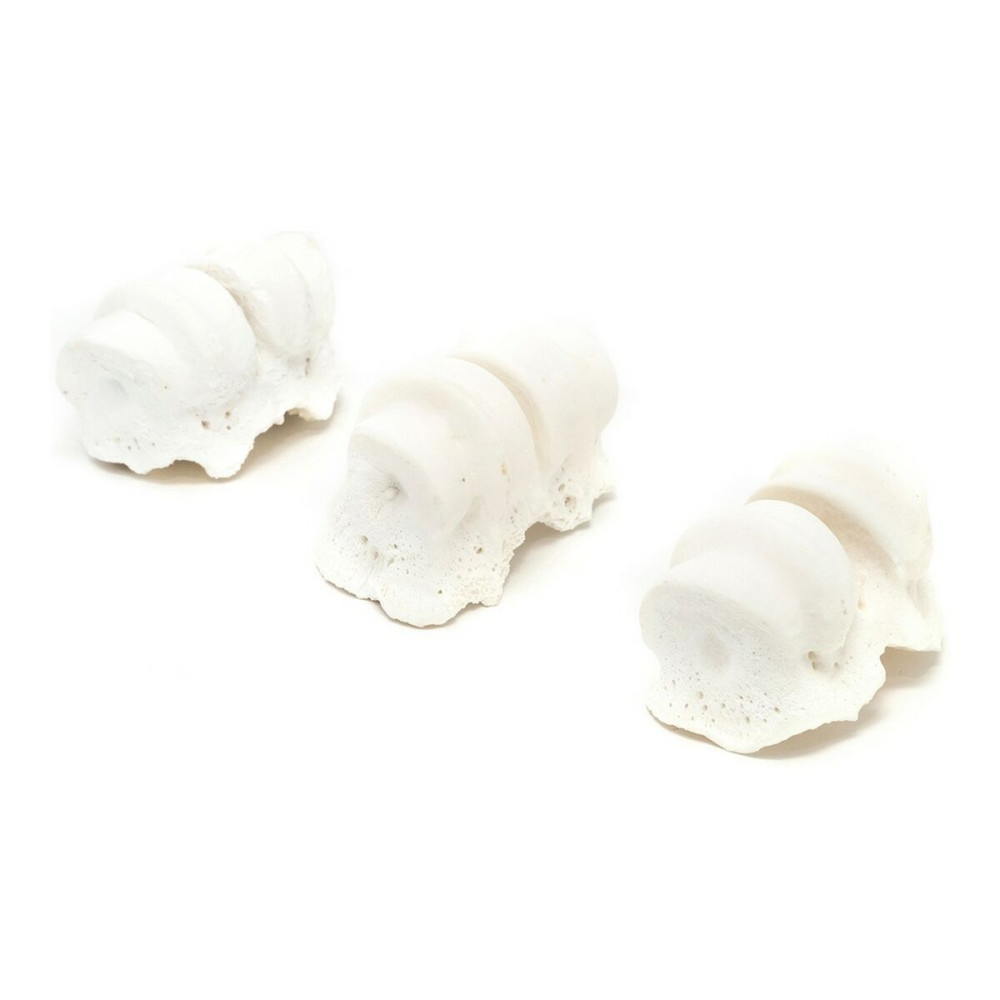 Dog Snack Gloria Veal Calcium Knuckles