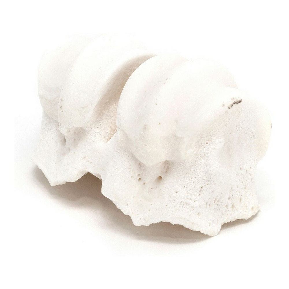 Dog Snack Gloria Veal Calcium Knuckles