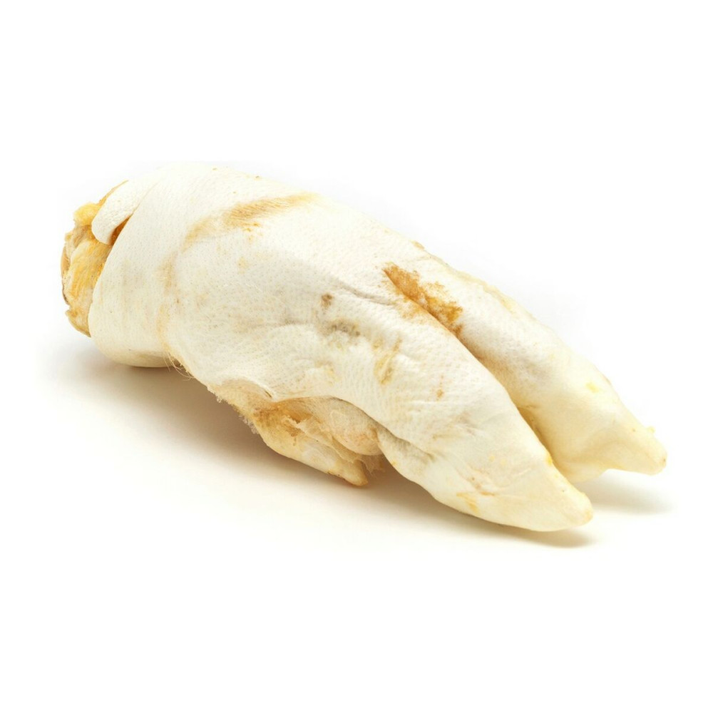 Dog Snack Gloria Pig Feet