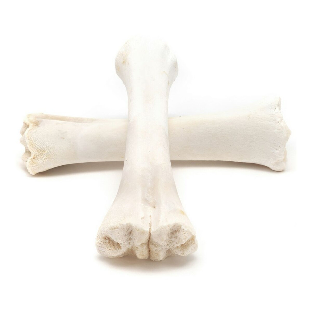 Dog Snack Gloria Veal Bone Calcium 20 Units