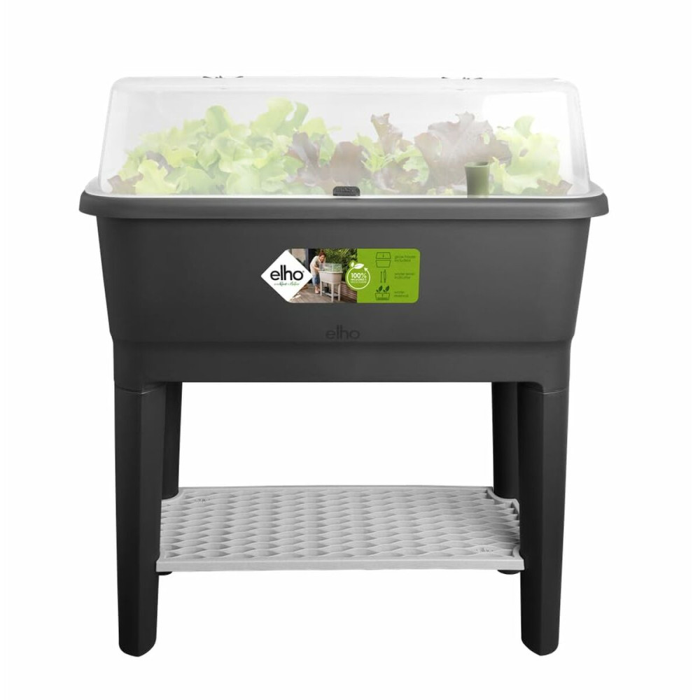 Greenhouse Elho Black Plastic 78,5 cm