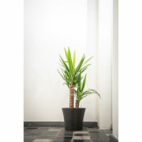 Plant pot Garden ID Black 40 x 34 cm