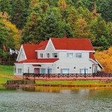 Primer Paint Bondex Grey Satin finish 5 L