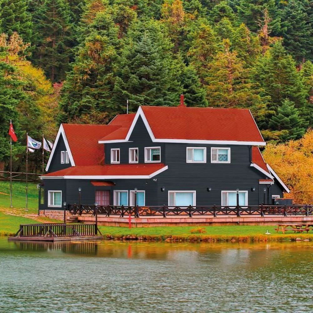 Primer Paint Bondex Grey Satin finish 5 L