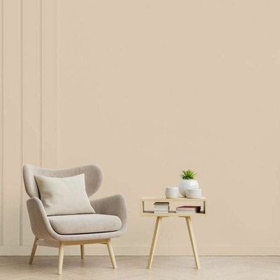 Primer Paint Ripolin Beige Satin finish 2,5 L