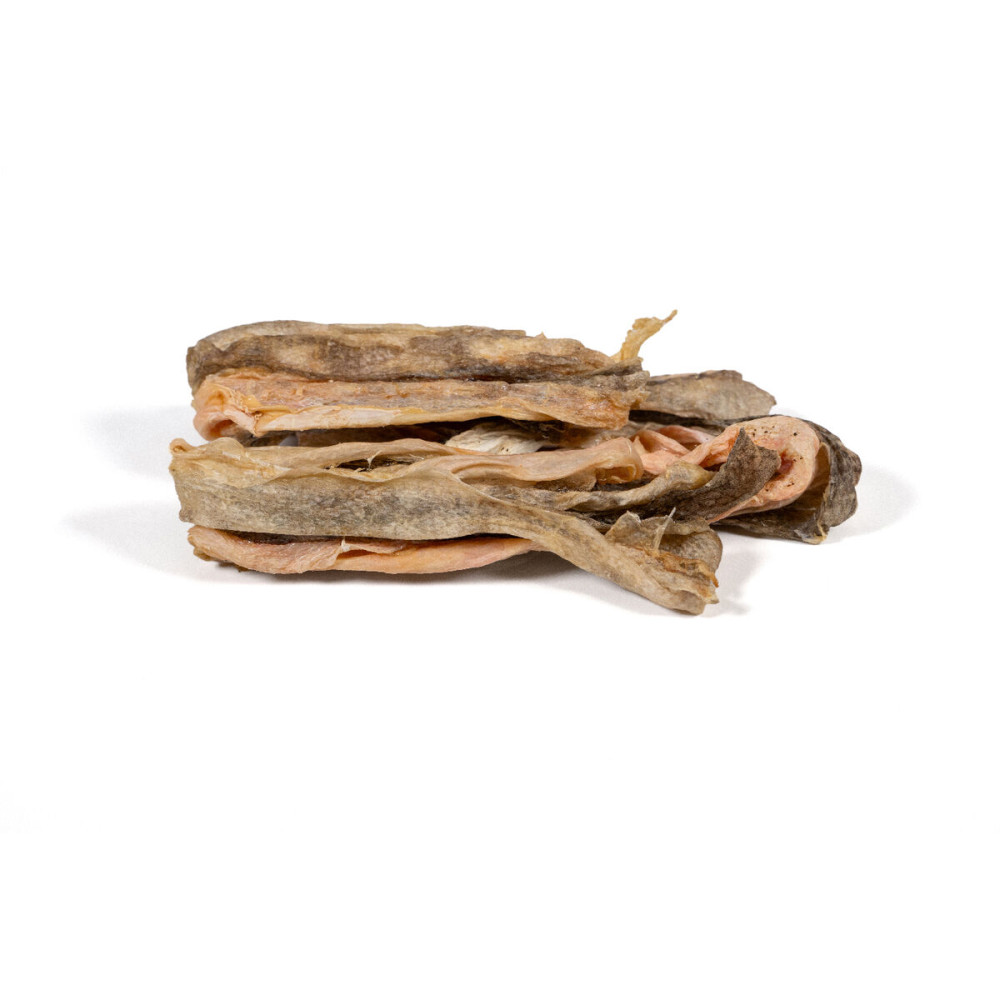 Wet food Snackys Fish 70 g